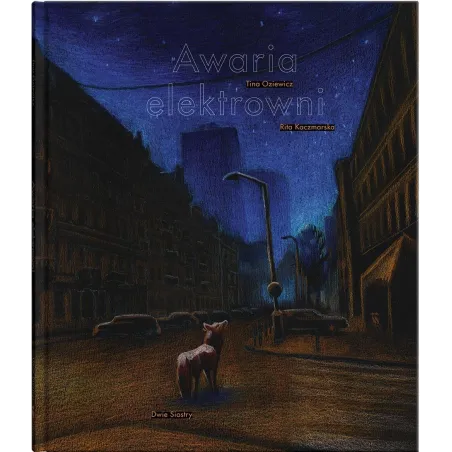 AWARIA ELEKTROWNI Tina Oziewicz - Dwie Siostry