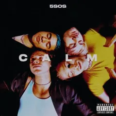 5 SECOND OF SUMMER CALM WINYL - Universal Music Polska