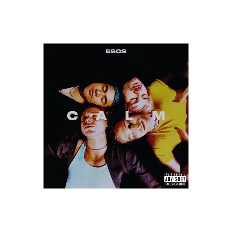 5 SECOND OF SUMMER CALM WINYL - Universal Music Polska