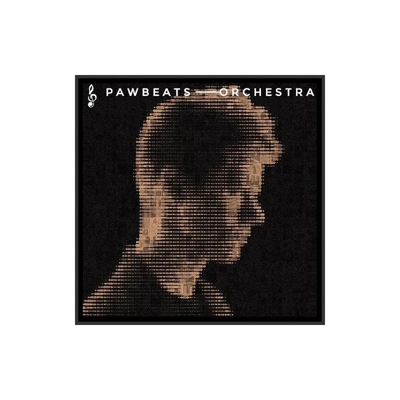 PAWBEATS ORCHESTRA CD - Step Records