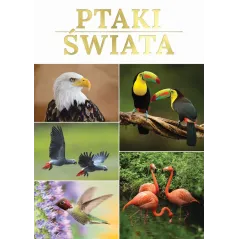 PTAKI ŚWIATA - Fenix