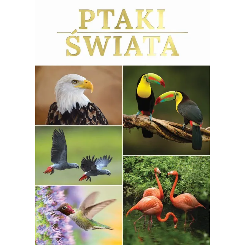 PTAKI ŚWIATA - Fenix