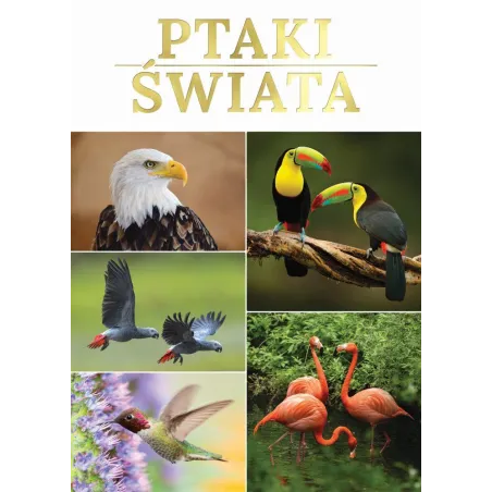 PTAKI ŚWIATA - Fenix