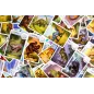 Cardline: Dinozaury Gra Karciana 5+ Cardline: Dinozaury Gra Karciana 5+