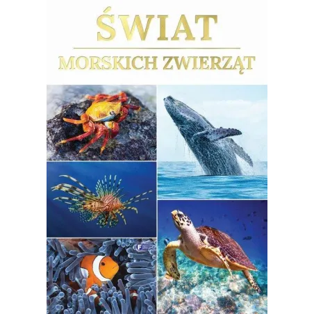 Świat Morskich Zwierząt Świat Morskich Zwierząt