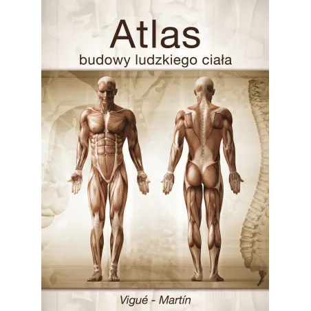 ATLAS BUDOWY LUDZKIEGO CIAŁA - Olesiejuk
