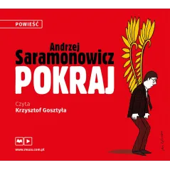 POKRAJ AUDIOBOOK CD MP3 - Muza