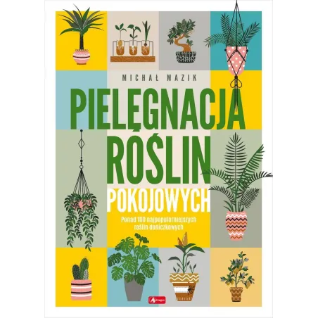 PIELĘGNACJA ROŚLIN POKOJOWYCH - Dragon