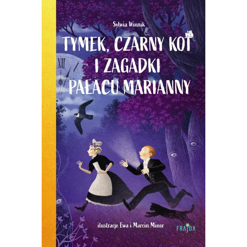 TOMEK, CZARNY KOT I ZAGADKI PAŁACU MARIANNY Sylwia Winnik - Frajda