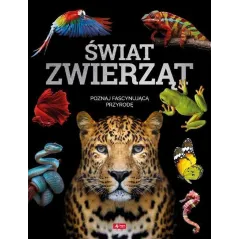 ŚWIAT ZWIERZĄT - Dragon