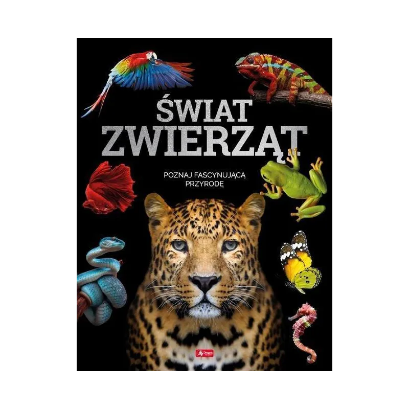 ŚWIAT ZWIERZĄT - Dragon
