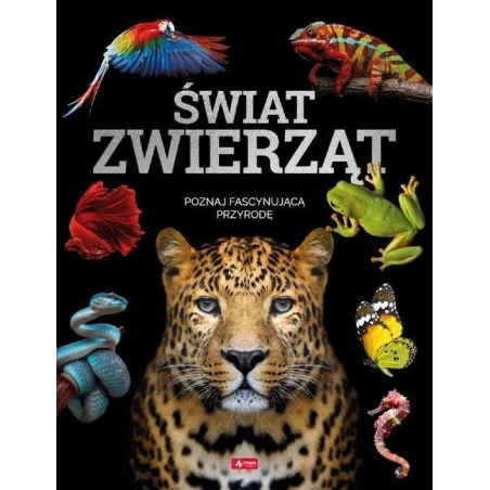 ŚWIAT ZWIERZĄT - Dragon
