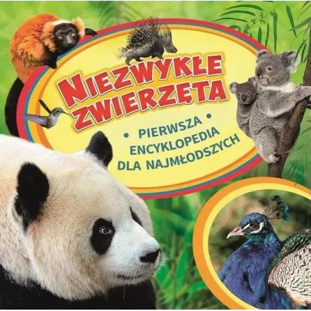 NIEZWYKŁE ZWIERZĘTA. PIERWSZA ENCYKLOPEDIA DLA NAJMŁODSZYCH - Książki dla dzieci