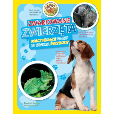 Zwariowane Zwierzęta. Fascynujące Fakty Ze Świata Przyrody Zwariowane Zwierzęta. Fascynujące Fakty Ze Świata Przyrody