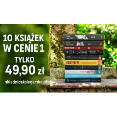 10 KSIĄŻEK W CENIE 1 LITERATURA MŁODZIEŻOWA MEGA PAKA KSIĄŻKOMANIAKA