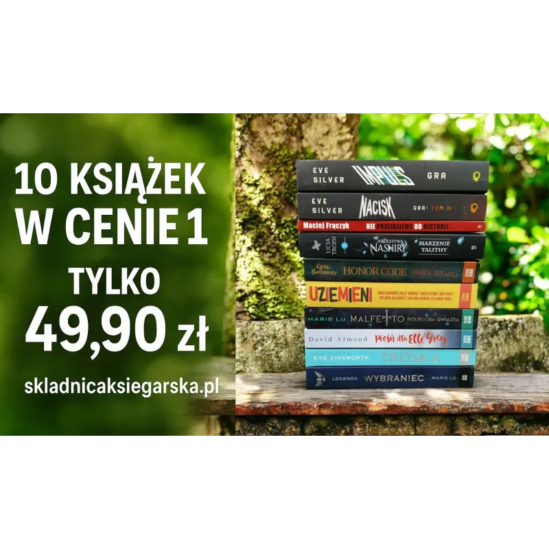 10 KSIĄŻEK W CENIE 1 LITERATURA MŁODZIEŻOWA MEGA PAKA KSIĄŻKOMANIAKA