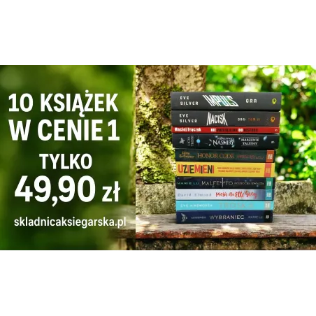 10 KSIĄŻEK W CENIE 1 LITERATURA MŁODZIEŻOWA MEGA PAKA KSIĄŻKOMANIAKA