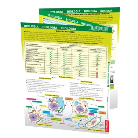 Biologia. Maxi Ściąga Biologia. Maxi Ściąga