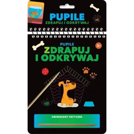 PUPILE. ZDRAPUJ I ODKRYWAJ 3+ II GATUNEK