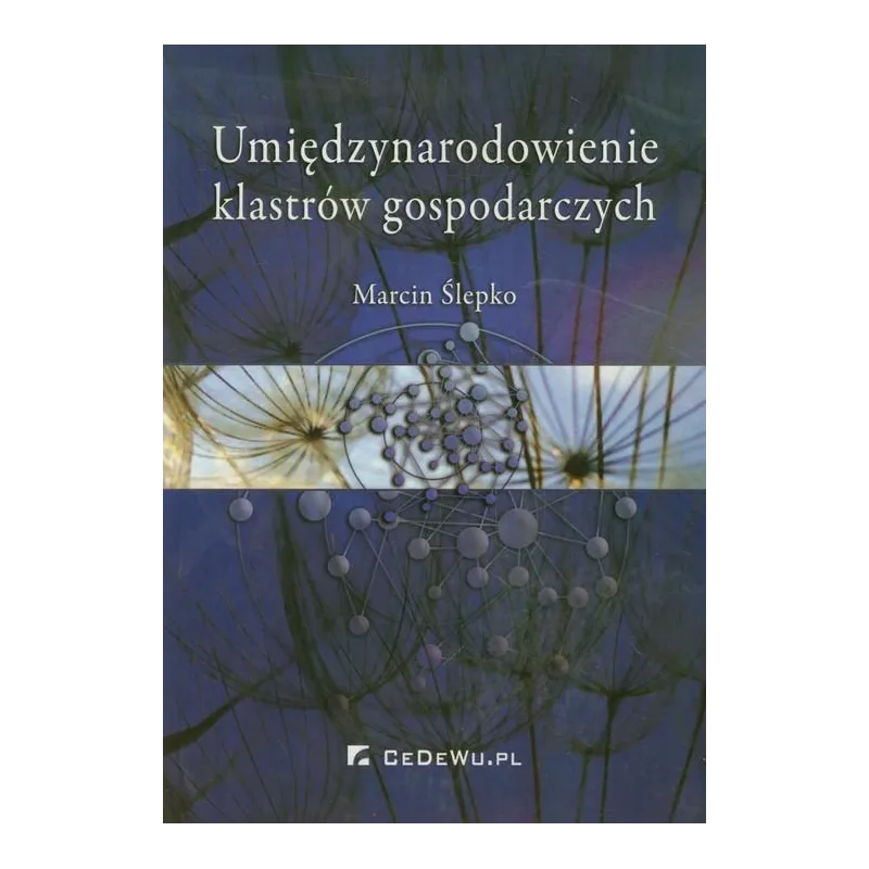 UMIĘDZYNARODOWIENIE KLASTRÓW GOSPODARCZYCH Marcin Ślepko - CEDEWU