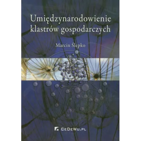 UMIĘDZYNARODOWIENIE KLASTRÓW GOSPODARCZYCH Marcin Ślepko - CEDEWU