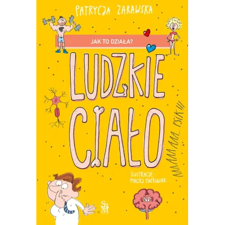 Ludzkie Ciało. Jak To Działa?