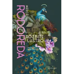ROZBITE LUSTRO