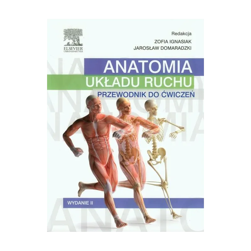 ANATOMIA UKŁADU RUCHU. PRZEWODNIK DO ĆWICZEŃ