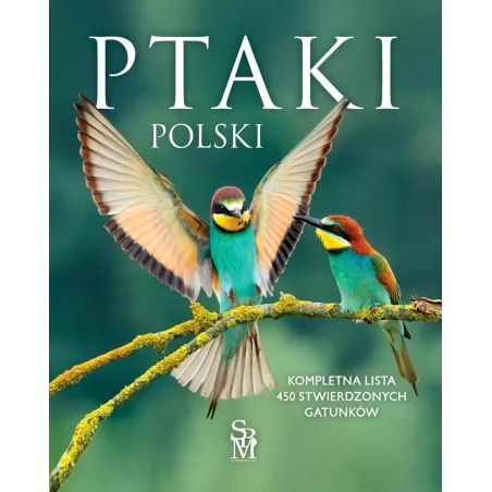 Ptaki Polski Ptaki Polski