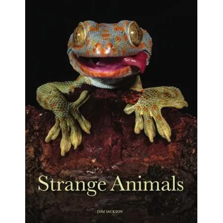 Strange Animals