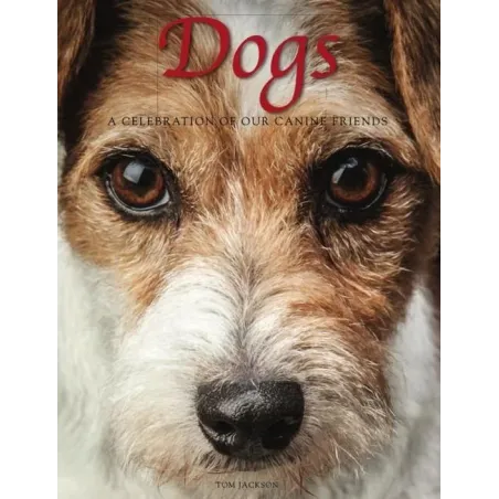Dogs