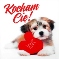 KARNET WALENTYNKOWY KOCHAM CIĘ!