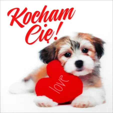 KARNET WALENTYNKOWY KOCHAM CIĘ!