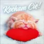 Karnet Walentynkowy Kocham Cię! Karnet Walentynkowy Kocham Cię!