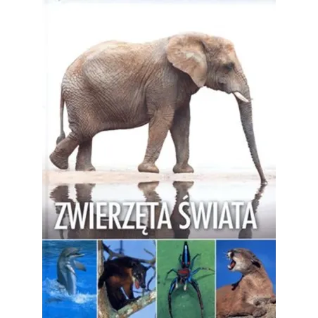 Zwierzęta Świata Zwierzęta Świata