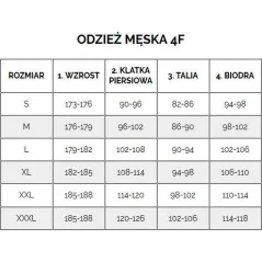 4F KOSZULKA MĘSKA SPORTOWA T-SHIRT SZARY SLIM FIT ROZMIAR S TSM005