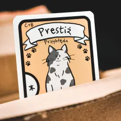 NAJLEPSZA GRA O KOTACH: PUDEŁKO ŁAKOCI – DODATEK DO GRY FOXGAMES