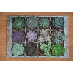 ROŚLINY PUZZLE 300 ELEMENTÓW 9+