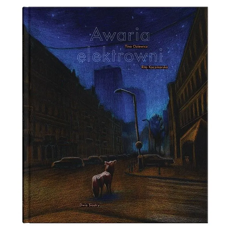 AWARIA ELEKTROWNI Tina Oziewicz - Dwie Siostry