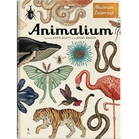 ANIMALIUM MUZEUM ZWIERZĄT 7+ Jenny Broom - Dwie Siostry