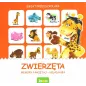 Zwierzęta Gra Edukacyjna 5+ Zwierzęta Gra Edukacyjna 5+