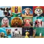 Śmieszne Zwierzęta Puzzle 1000 Elementów 10+