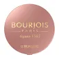 Róż Do Policzków 03 Brun Cuivre 2.5 G Bourjois Little Round Pot Blusher