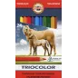 Kredki Trójkątne Grube Tricolor Koh-I-Noor