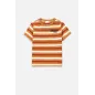 T-Shirt Dla Chłopca Kolorowy Koszulka Rozmiar 116 Coccodrillo