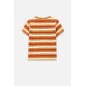 T-Shirt Dla Chłopca Kolorowy Koszulka Rozmiar 116 Coccodrillo