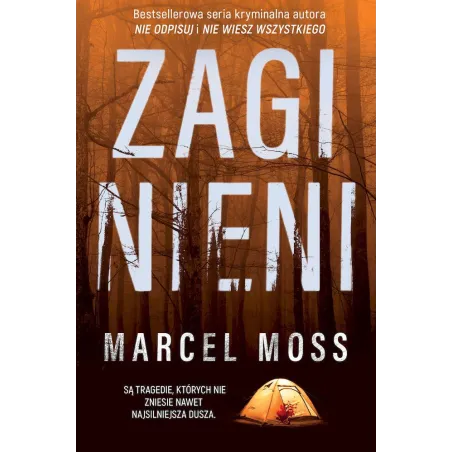Zaginieni Zaginieni