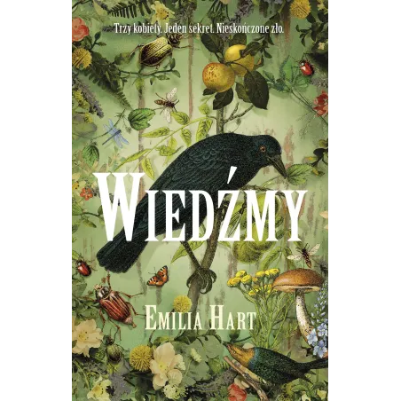 Wiedźmy