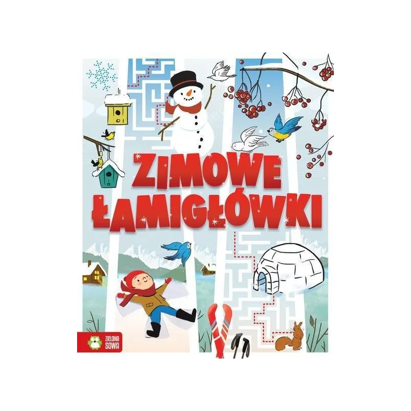 ZIMOWE ŁAMIGŁÓWKI Patrycja Wojtkowiak-Skóra 6+ - Wilga