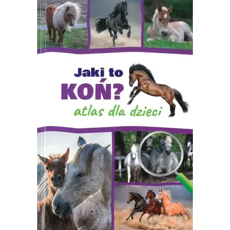 JAKI TO KOŃ ATLAS DLA DZIECI Jacek Twardowski, Kamila Twardowska - SBM